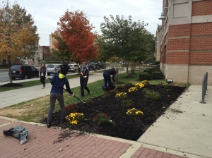 CHEC Beautification Day